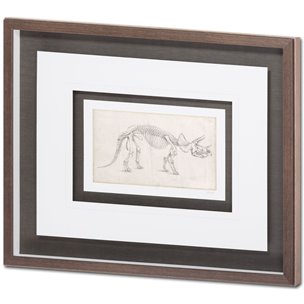 Custom Dinosaur Study II (MC) by Harper, Ethan a Framed Art Print Matted under Glass