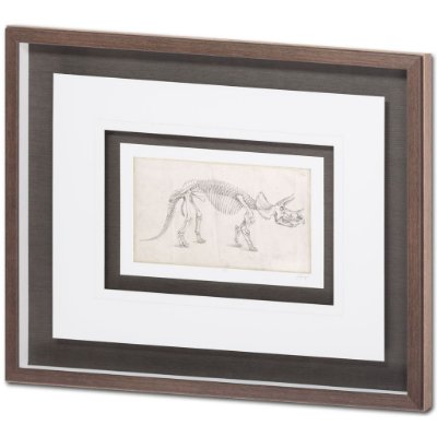 9104 - Custom Dinosaur Study II (MC) by Harper, Ethan a Framed Art Print Matted under Glass