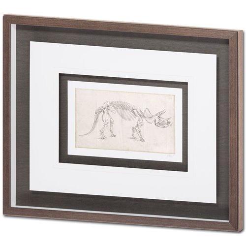 9104 - Custom Dinosaur Study II (MC) by Harper, Ethan a Framed Art Print Matted under Glass