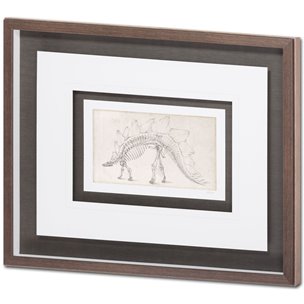 Custom Dinosaur Study III (MC) by Harper, Ethan a Framed Art Print Matted under Glass