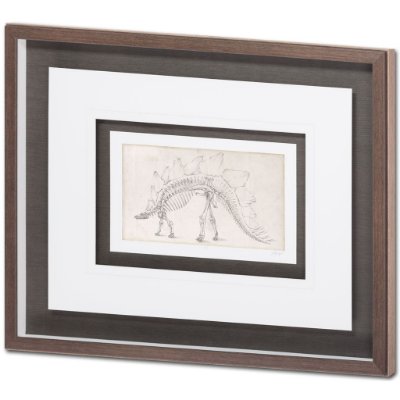 9105 - Custom Dinosaur Study III (MC) by Harper, Ethan a Framed Art Print Matted under Glass