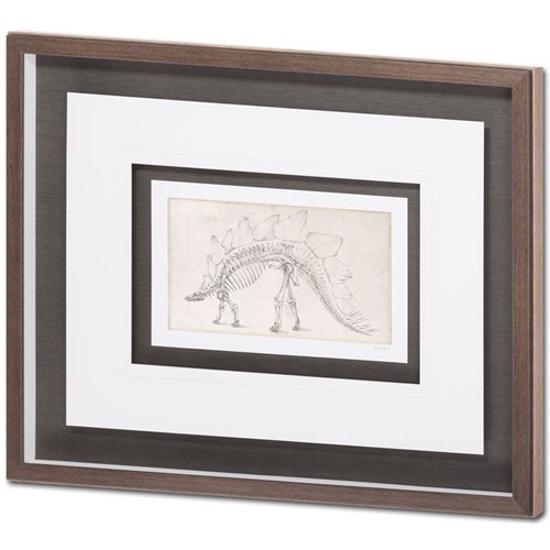 9105 - Custom Dinosaur Study III (MC) by Harper, Ethan a Framed Art Print Matted under Glass
