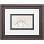 9105 - Custom Dinosaur Study III (MC) by Harper, Ethan a Framed Art Print Matted under Glass