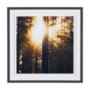 9162 - Woodland Glow by Andreas Stridsberg a Hand Embelished Textured Framed Art Photo Matted under Glass