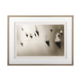9721 - Broads Regatta, Island Yachts by Ben Wood Hand Embelished Framed Photo Art Print Matted under Glass