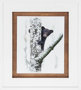 9746 - Bears at Play V by PHBurchett a Framed Photo Art Print Matted under Glass