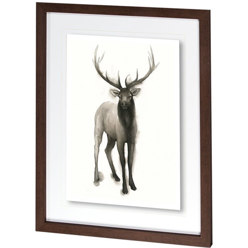 10025 - Majestic Wildlife II by Grace Popp a Framed Art Print Matted under Glass