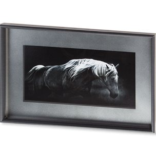 Bonnie Portrait by PHBurchett a Framed Photo Art Print Matted under Glass