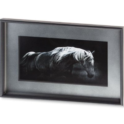 10099 - Bonnie Portrait by PHBurchett a Framed Photo Art Print Matted under Glass