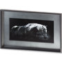 10099 - Bonnie Portrait by PHBurchett a Framed Photo Art Print Matted under Glass