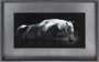 10099 - Bonnie Portrait by PHBurchett a Framed Photo Art Print Matted under Glass