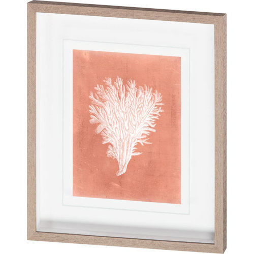 10105 - Sealife on Coral II by Vision Studio a Hand Embellished Textured Framed Art Print Matted under Glass