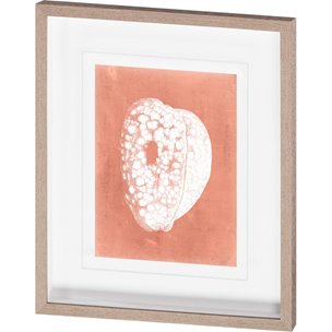 Sealife on Coral III by Vision Studio Hand Embellished Textured Framed Art Print Matted under Glass