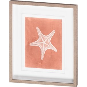 Sealife on Coral IV by Vision Studio a Hand Embellished Textured Framed Art Print Matted under Glass