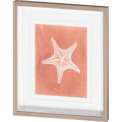 10107 - Sealife on Coral IV by Vision Studio a Hand Embellished Textured Framed Art Print Matted under Glass