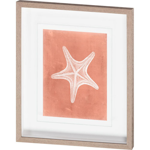 10107 - Sealife on Coral IV by Vision Studio a Hand Embellished Textured Framed Art Print Matted under Glass