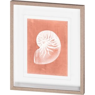 Sealife on Coral V by Vision Studio a Hand Embellished Textured Framed Art Print Matted under Glass