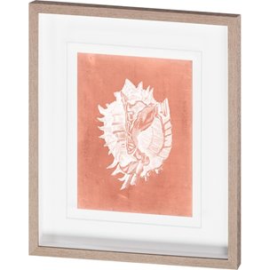 Sealife on Coral VI by Vision Studio a Hand Embellished Textured Framed Art Print Matted under Glass