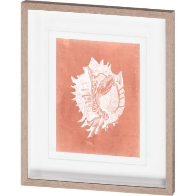 10109 - Sealife on Coral VI by Vision Studio a Hand Embellished Textured Framed Art Print Matted under Glass