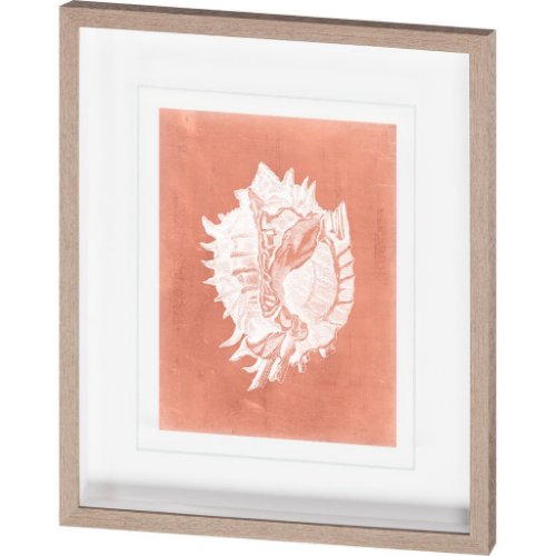 10109 - Sealife on Coral VI by Vision Studio a Hand Embellished Textured Framed Art Print Matted under Glass