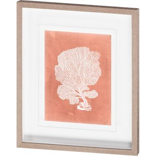 Sealife on Coral VIII by Vision Studio Hand Embellished Textured Framed Art Print Matted under Glass