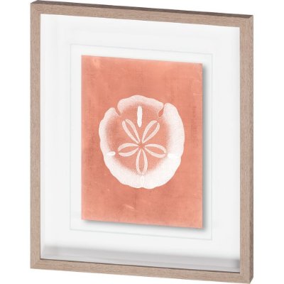 10112 - Sealife on Coral IX by Vision Studio a Hand Embellished Textured Framed Art Print Matted under Glass