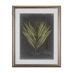 Foliage Dramatique II by Vision Studio Hand Embellished Textured Framed Art Print Matted under Glass