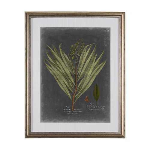 10133 - Foliage Dramatique II by Vision Studio Hand Embellished Textured Framed Art Print Matted under Glass