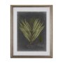 10133 - Foliage Dramatique II by Vision Studio Hand Embellished Textured Framed Art Print Matted under Glass
