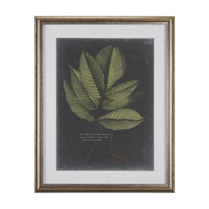 Foliage Dramatique III by Vision Studio Hand Embellished Textured Framed Art Print Matted under Glas