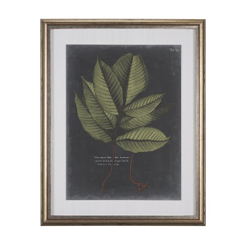 10134 - Foliage Dramatique III by Vision Studio Hand Embellished Textured Framed Art Print Matted under Glas