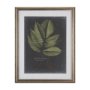 10134 - Foliage Dramatique III by Vision Studio Hand Embellished Textured Framed Art Print Matted under Glas