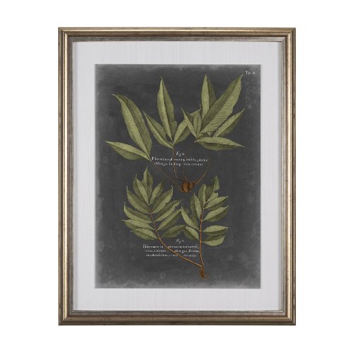 10135 - Foliage Dramatique IV by Vision Studio Hand Embellished Textured Framed Art Print Matted under Glass