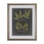 10135 - Foliage Dramatique IV by Vision Studio Hand Embellished Textured Framed Art Print Matted under Glass