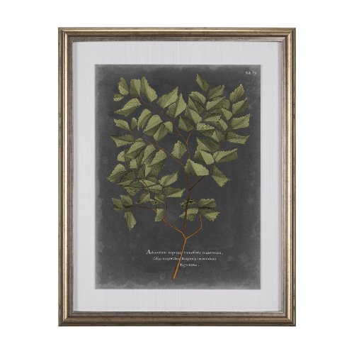 10136 - Foliage Dramatique V by Vision Studio Hand Embellished Textured Framed Art Print Matted under Glass