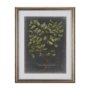 10136 - Foliage Dramatique V by Vision Studio Hand Embellished Textured Framed Art Print Matted under Glass