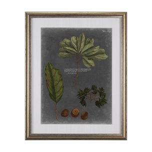 Foliage Dramatique VI by Vision Studio Hand Embellished Textured Framed Art Print Matted under Glass
