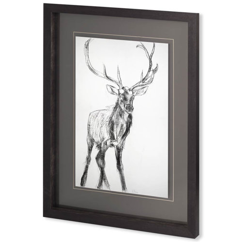 10287 - Young Elk by Harvey, Brenna a Framed Art Print Matted under Glass