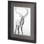 10287 - Young Elk by Harvey, Brenna a Framed Art Print Matted under Glass