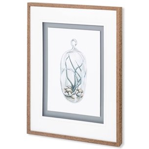 Air Plant 1 by Harvey, Brenna a Framed Art Print Matted under Glass