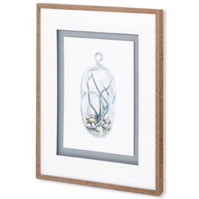 10292 - Air Plant 1 by Harvey, Brenna a Framed Art Print Matted under Glass