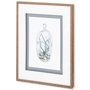 10292 - Air Plant 1 by Harvey, Brenna a Framed Art Print Matted under Glass