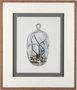 10292 - Air Plant 1 by Harvey, Brenna a Framed Art Print Matted under Glass