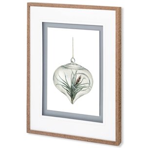 Air Plant 4 by Harvey, Brenna a Framed Art Print Matted under Glass
