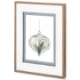 10295 - Air Plant 4 by Harvey, Brenna a Framed Art Print Matted under Glass