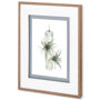 10296 - Air Plant 5 by Harvey, Brenna a Framed Art Print Matted under Glass