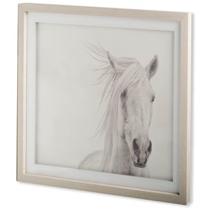 Custom Wind Blown Mane I (MC) by  PHBurchett a Framed Photo Art Print Matted under Glass