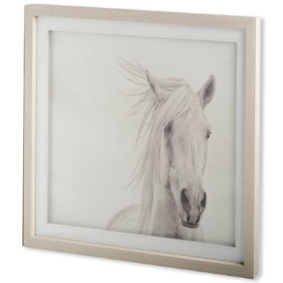 10373 - Custom Wind Blown Mane I (MC) by  PHBurchett a Framed Photo Art Print Matted under Glass
