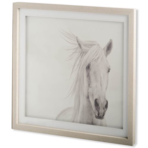 10373 - Custom Wind Blown Mane I (MC) by  PHBurchett a Framed Photo Art Print Matted under Glass