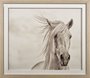 10373 - Custom Wind Blown Mane I (MC) by  PHBurchett a Framed Photo Art Print Matted under Glass